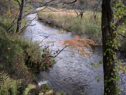 秋の河川風景